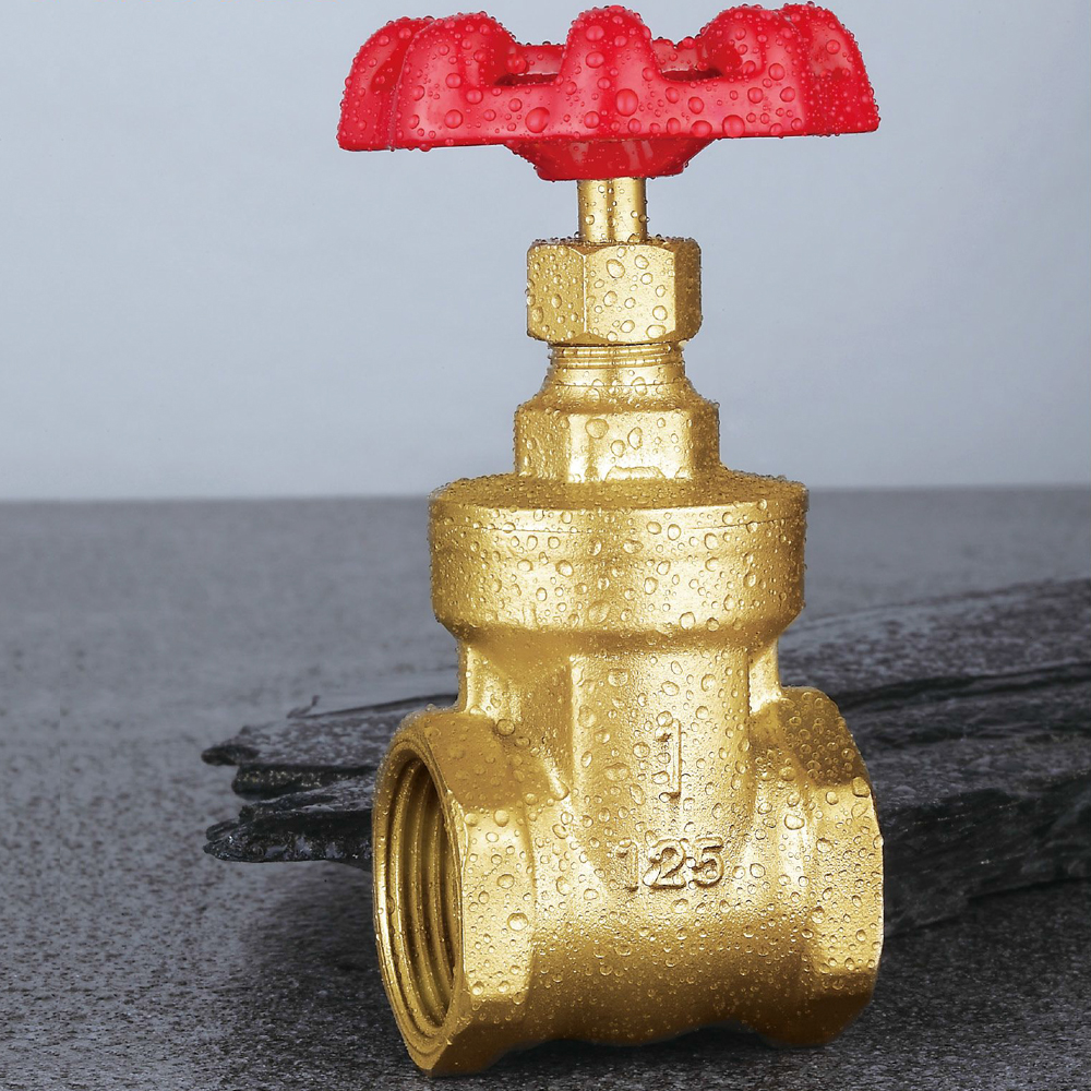 Brass Valves and Brass Fittings 7 brass gate valve