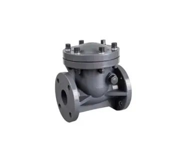 plastic check valve 1