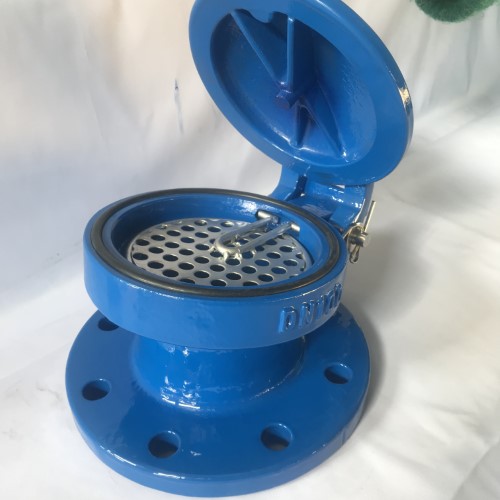Flap Valves 7 Laminar steel flap valve (Custom)